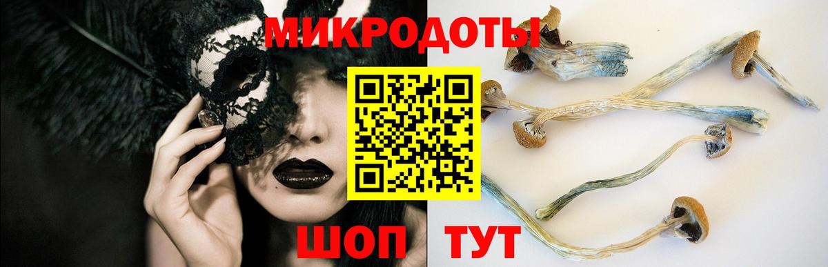 Галлюциногенные грибы Psilocybine cubensis  Вход с VPN  Чебоксары  Псилоцибиновые грибы GOLDEN TEACHER 